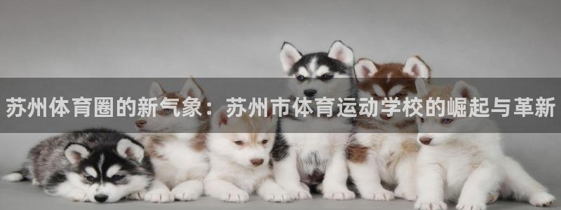 oety欧亿：苏州体育圈的新气象：苏州市体育运动学校的崛起与革新