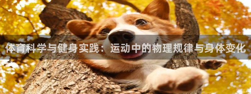 oety欧亿：体育科学与健身实践：运动中的物理规律与身体变化
