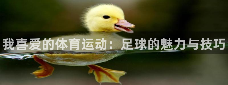 oety欧亿：我喜爱的体育运动：足球的魅力与技巧