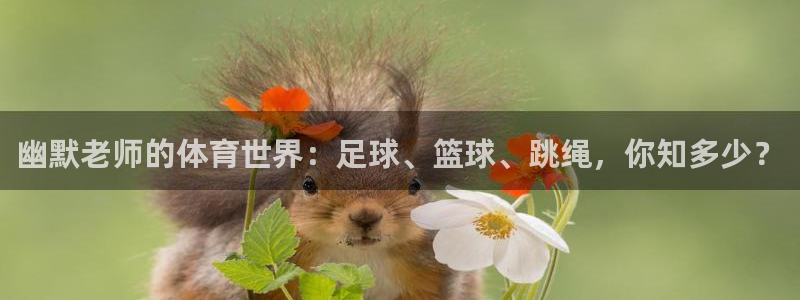 oety欧亿：幽默老师的体育世界：足球、篮球、跳绳，你知多少？