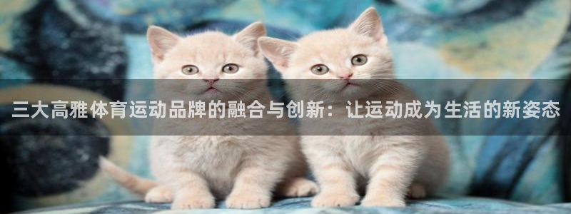 oety欧亿：三大高雅体育运动品牌的融合与创新：让运动成为生活的新姿态