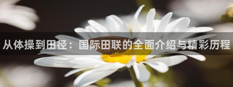 oety欧亿：从体操到田径：国际田联的全面介绍与精彩历程