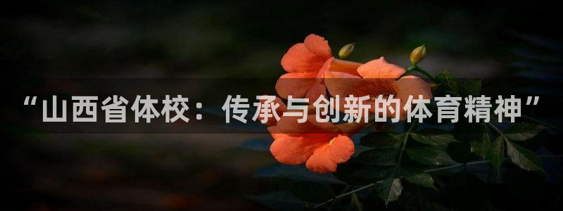 oety欧亿：“山西省体校：传承与创新的体育精神”
