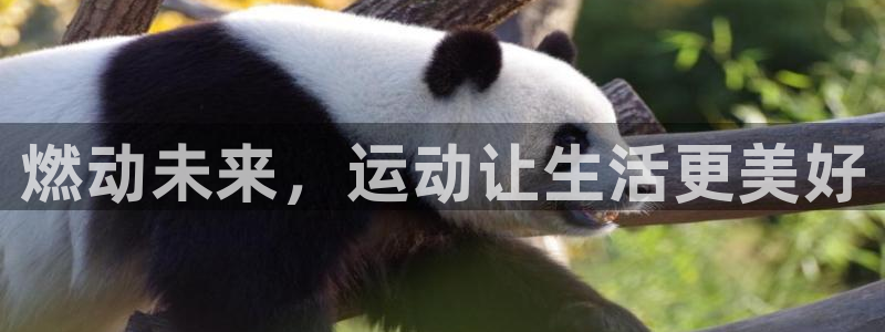 oety欧亿：燃动未来，运动让生活更美好