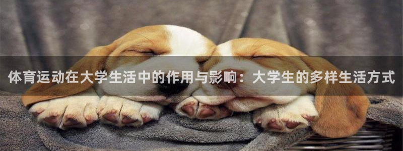 oety欧亿：体育运动在大学生活中的作用与影响：大学生的多样生活方式