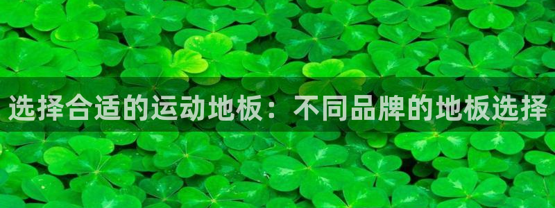oety欧亿：选择合适的运动地板：不同品牌的地板选择
