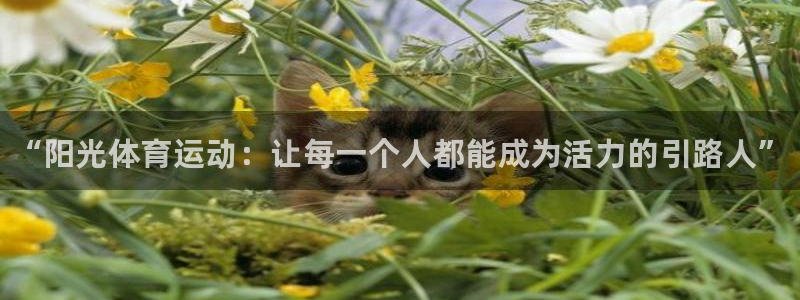 oety欧亿：“阳光体育运动：让每一个人都能成为活力的引路人”