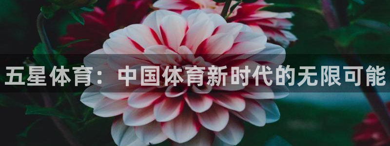 oety欧亿：五星体育：中国体育新时代的无限可能