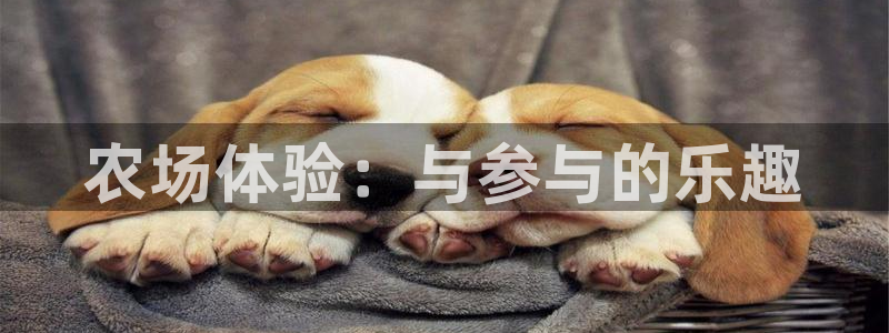 oety欧亿
