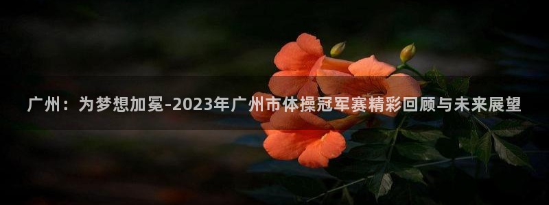 oety欧亿：广州：为梦想加冕-2023年广州市体操冠军赛精彩回顾与未来展望