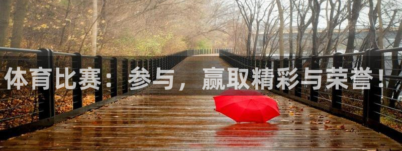 oety欧亿：体育比赛：参与，赢取精彩与荣誉！
