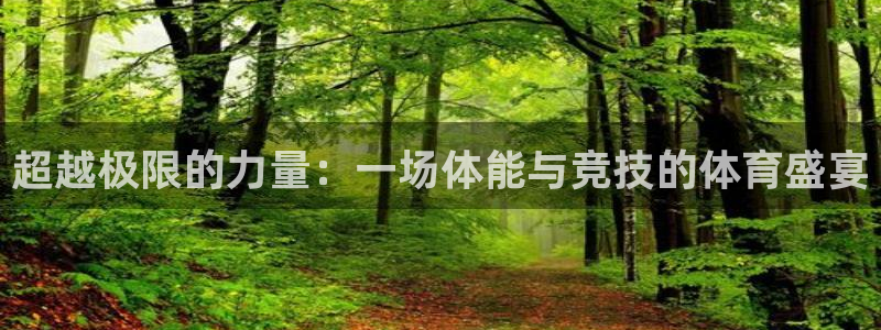 oety欧亿：超越极限的力量：一场体能与竞技的体育盛宴