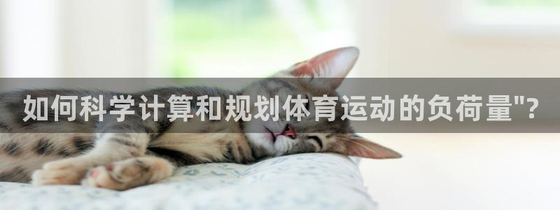 oety欧亿