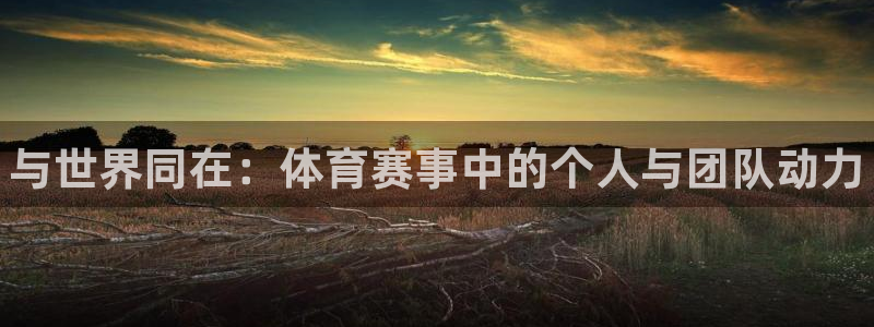 oety欧亿：与世界同在：体育赛事中的个人与团队动力