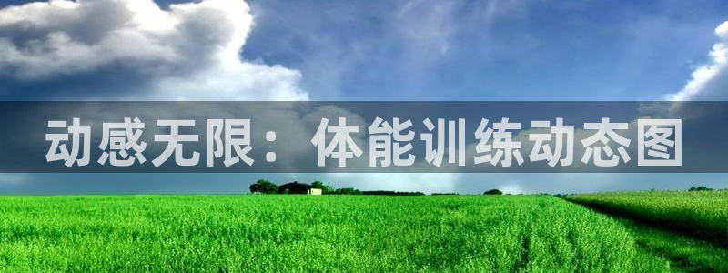 oety欧亿：动感无限：体能训练动态图