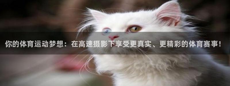 oety欧亿：你的体育运动梦想：在高速摄影下享受更真实、更精彩的体育赛事！