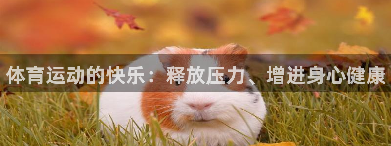 oety欧亿：体育运动的快乐：释放压力、增进身心健康