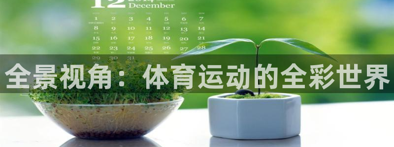 oety欧亿：全景视角：体育运动的全彩世界