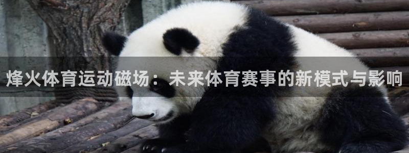 oety欧亿：烽火体育运动磁场：未来体育赛事的新模式与影响
