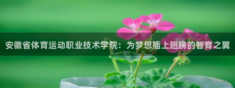 oety欧亿：安徽省体育运动职业技术学院：为梦想插上翅膀的智育之翼