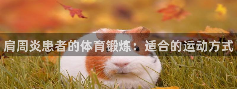 oety欧亿：肩周炎患者的体育锻炼：适合的运动方式