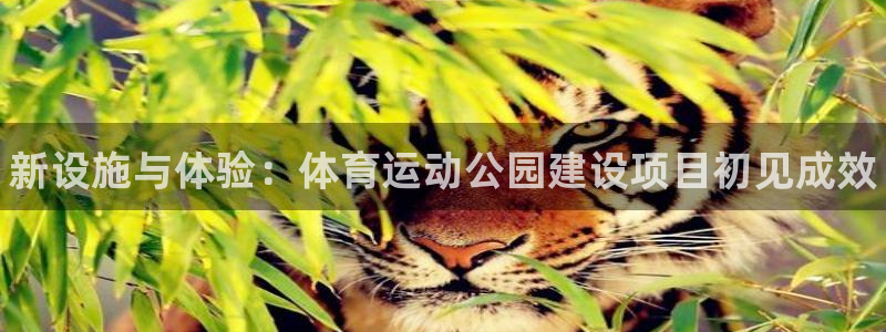 oety欧亿：新设施与体验：体育运动公园建设项目初见成效